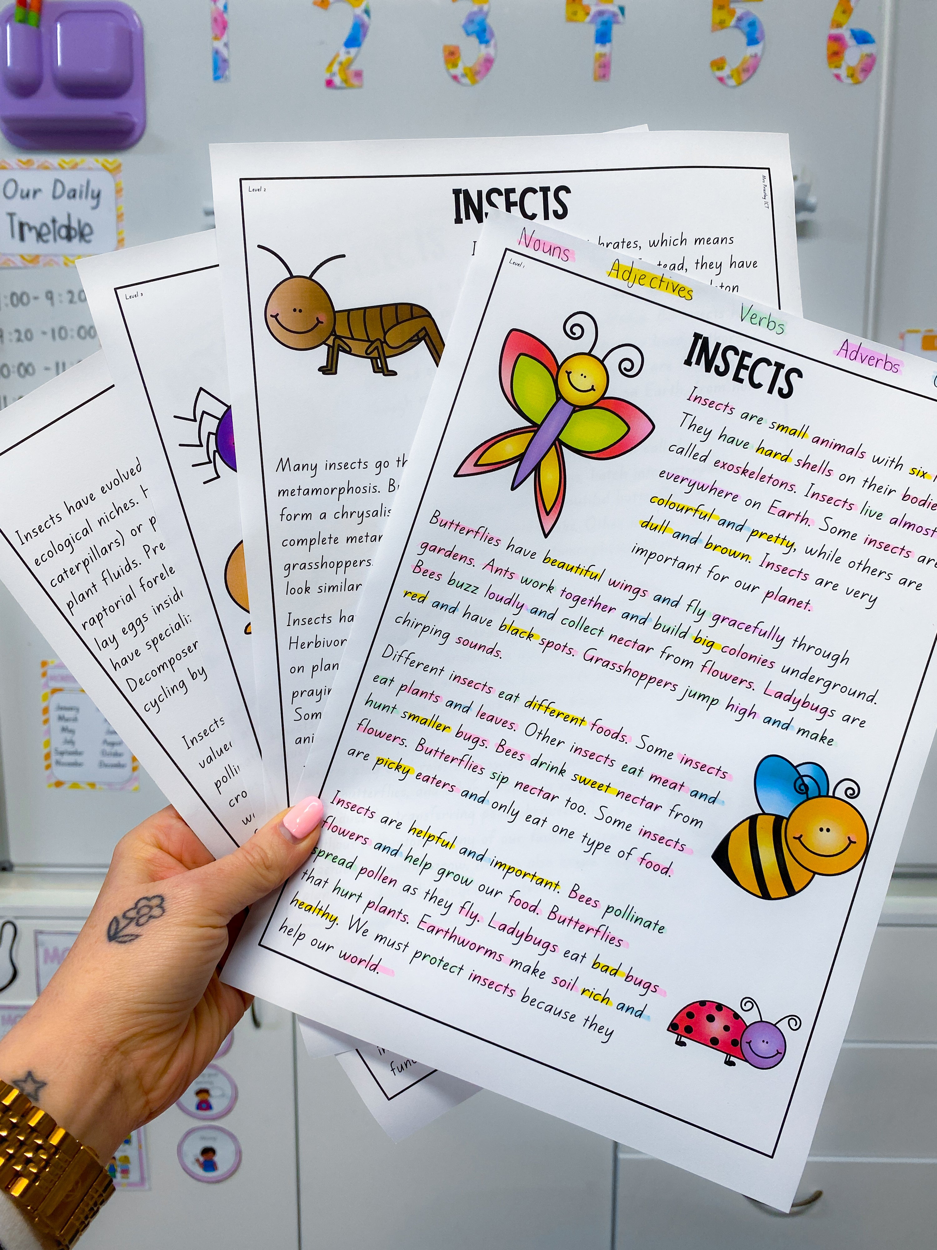 Insects Parts of Speech texts