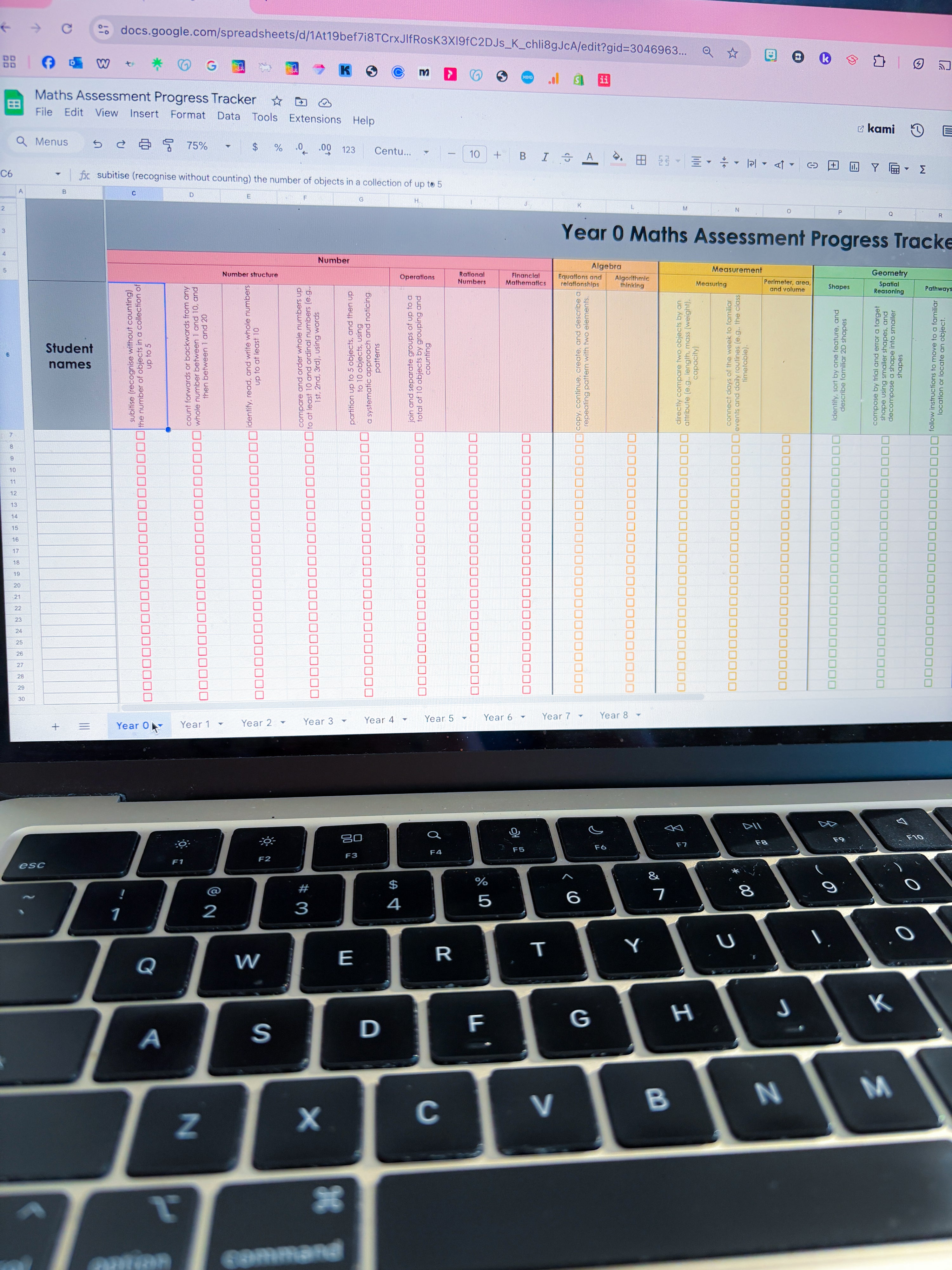 Maths Assessment Progress Tracker