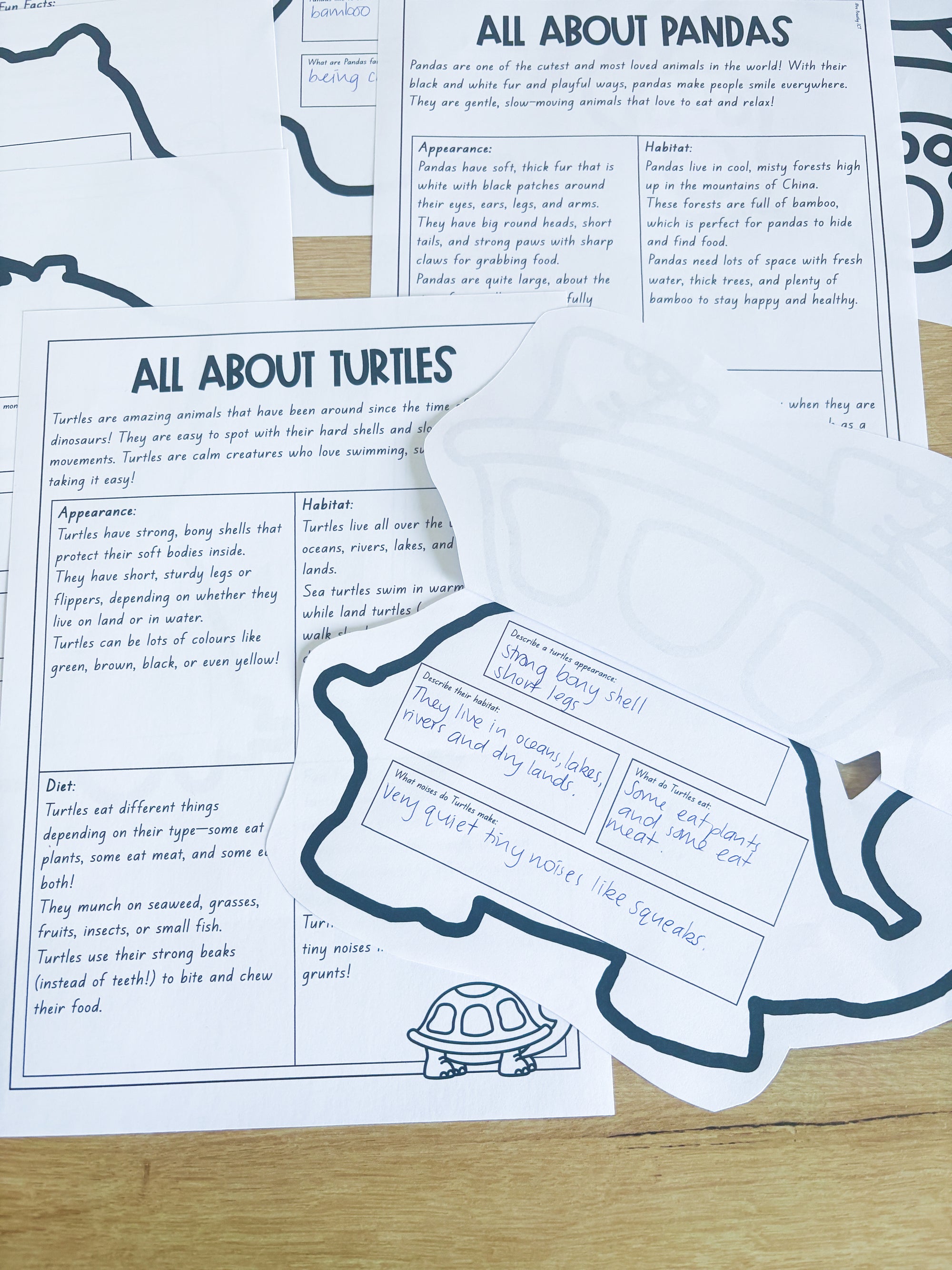 Animal fact file and crafts