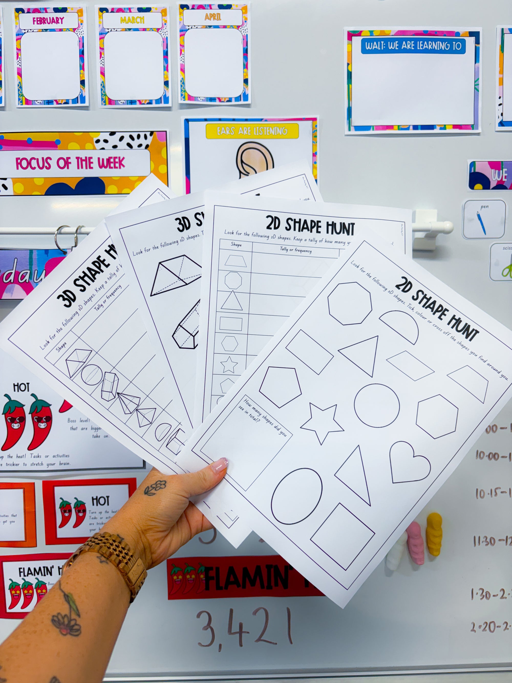 2D and 3D Shape Hunt