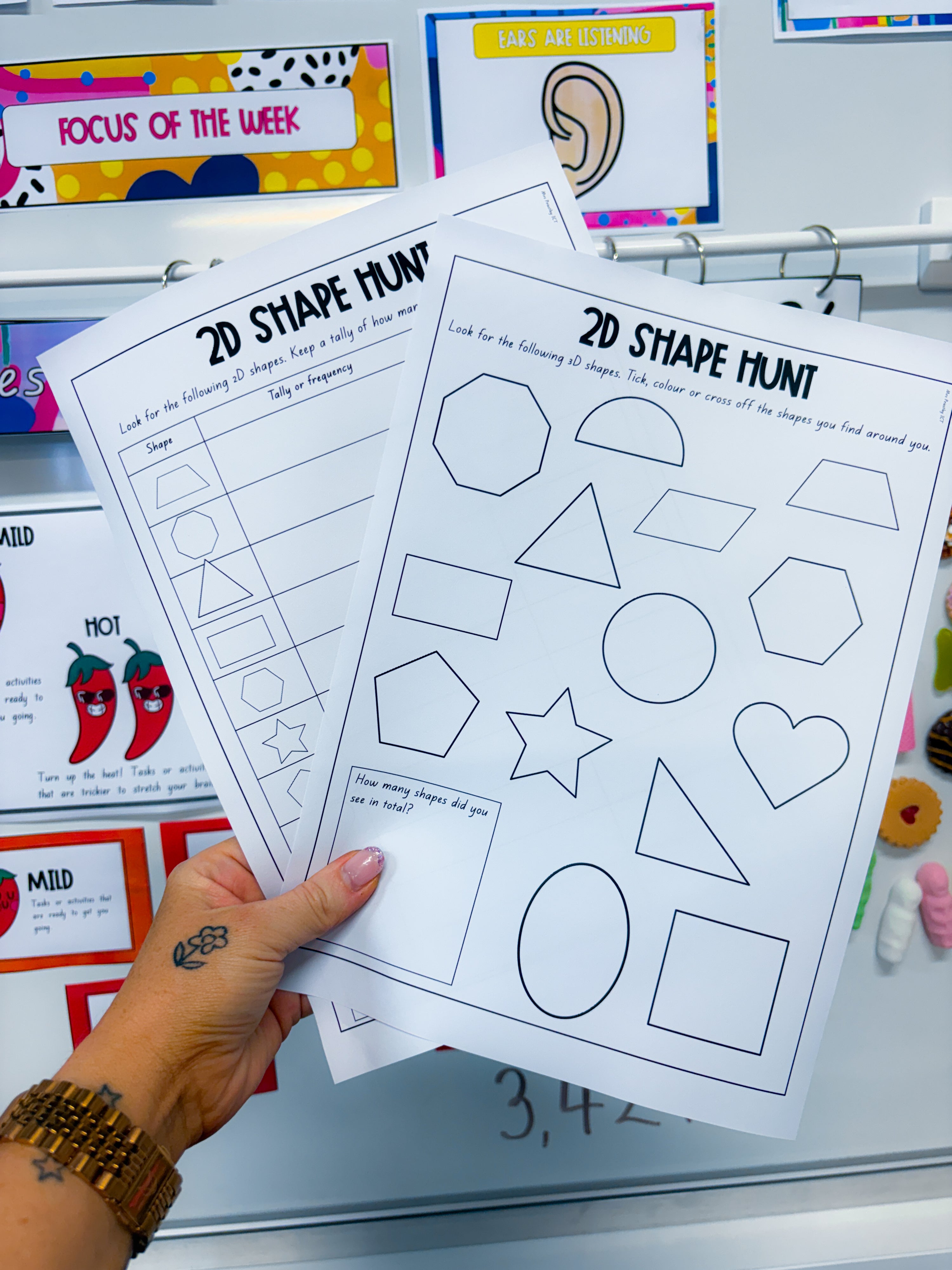 2D and 3D Shape Hunt