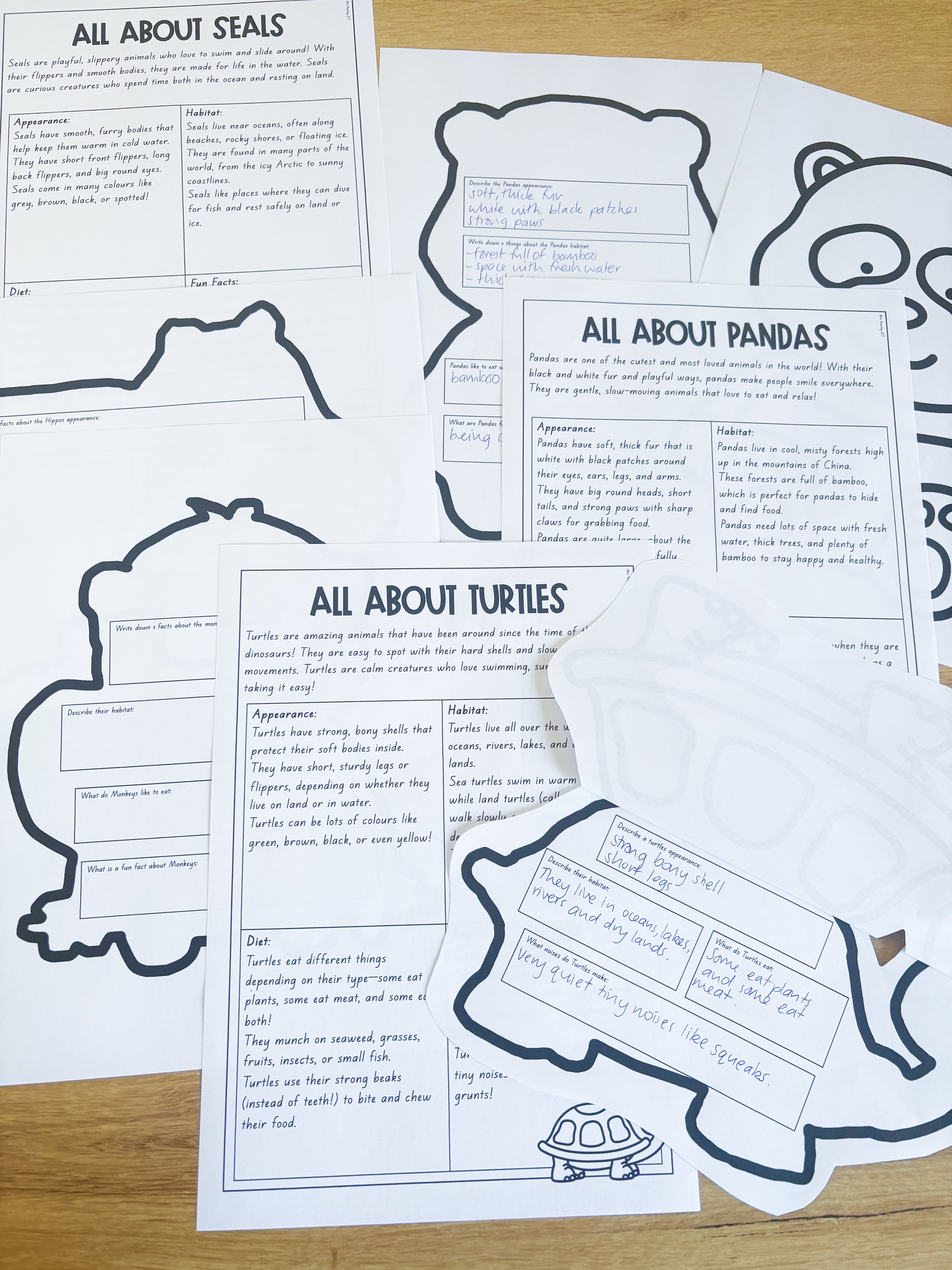 Animal fact file and crafts