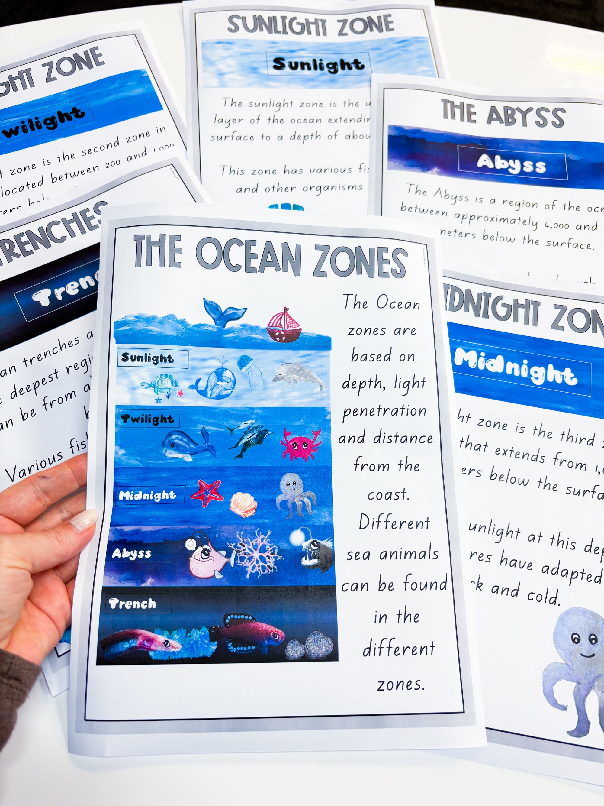 The Ocean Zones Posters