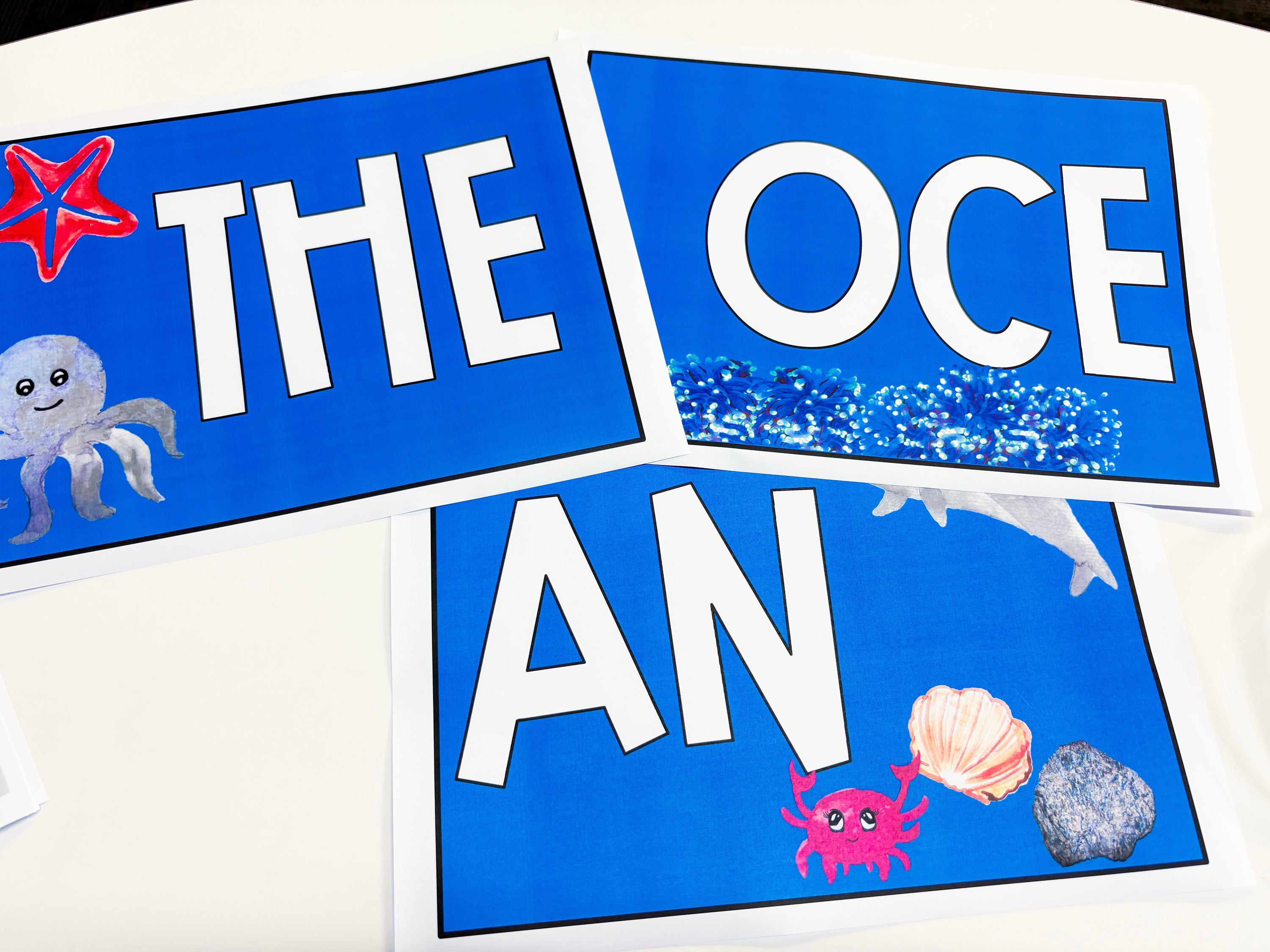 The Ocean wall header