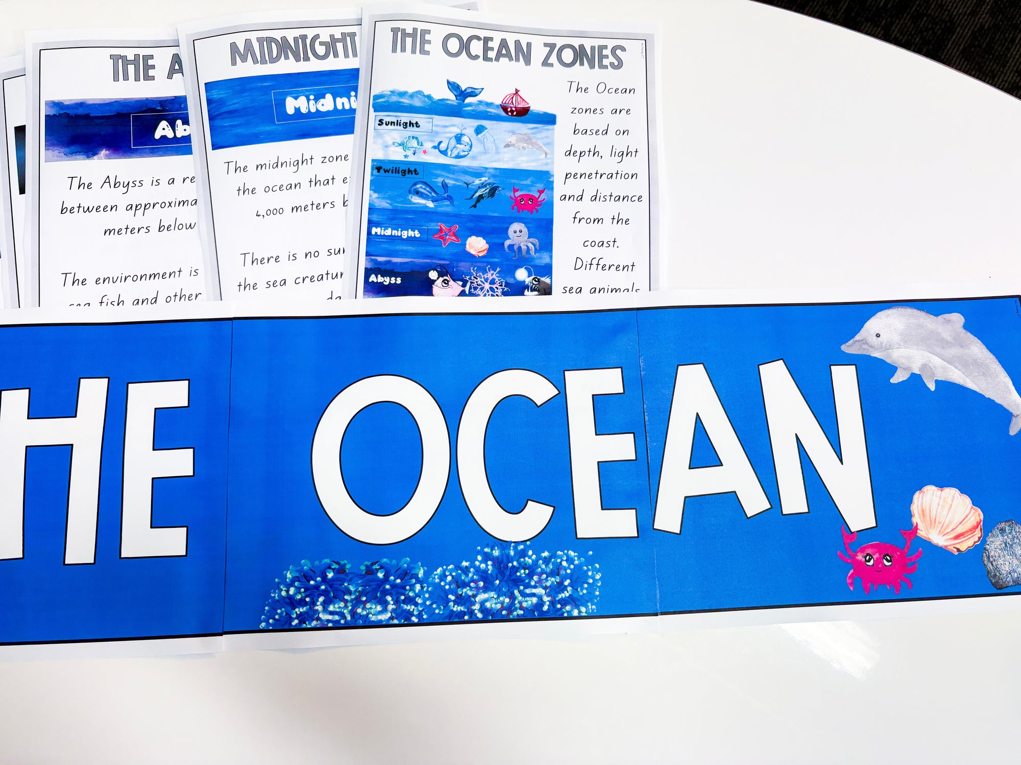 The Ocean wall header