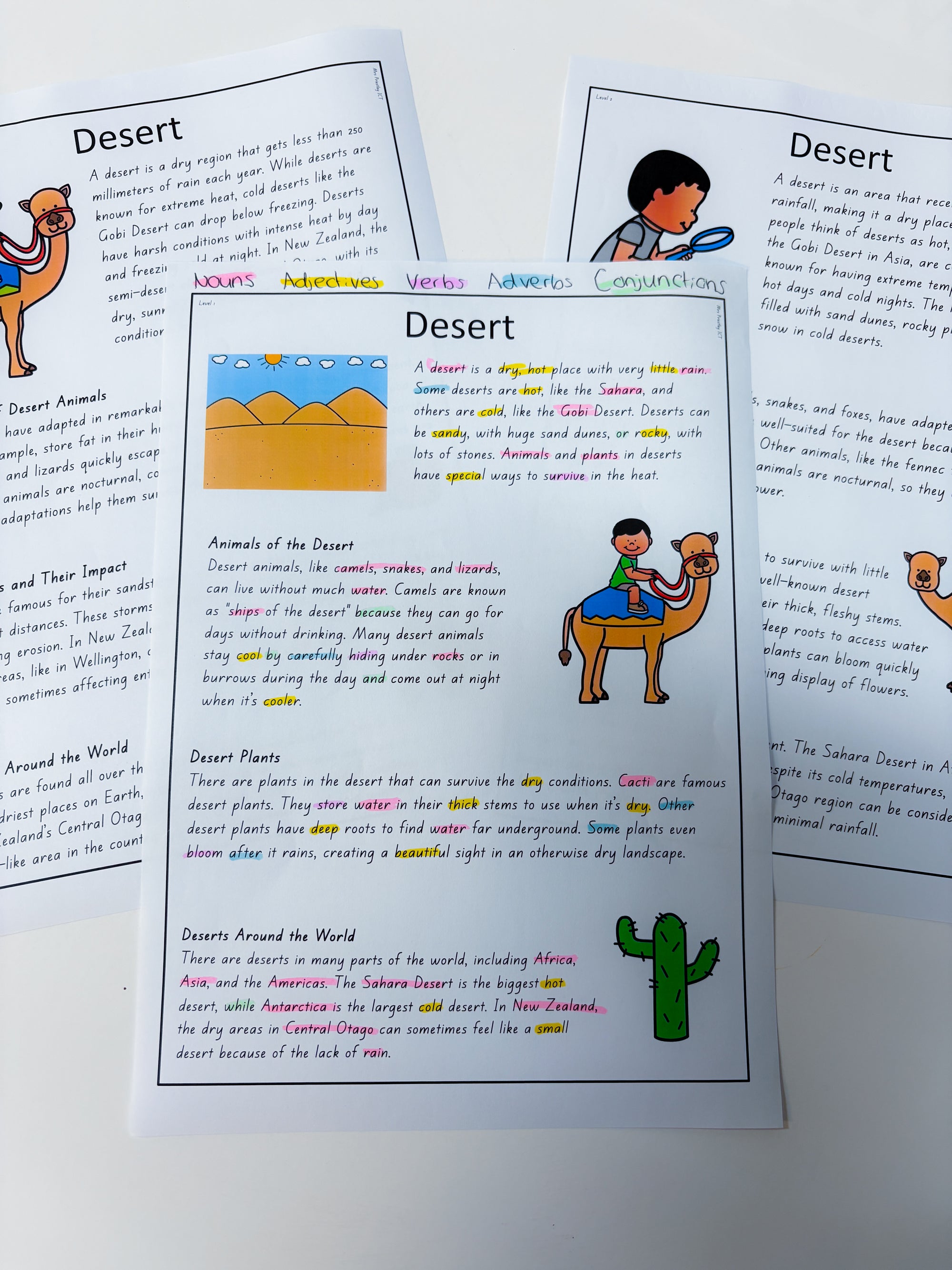 The Desert Parts of Speech texts