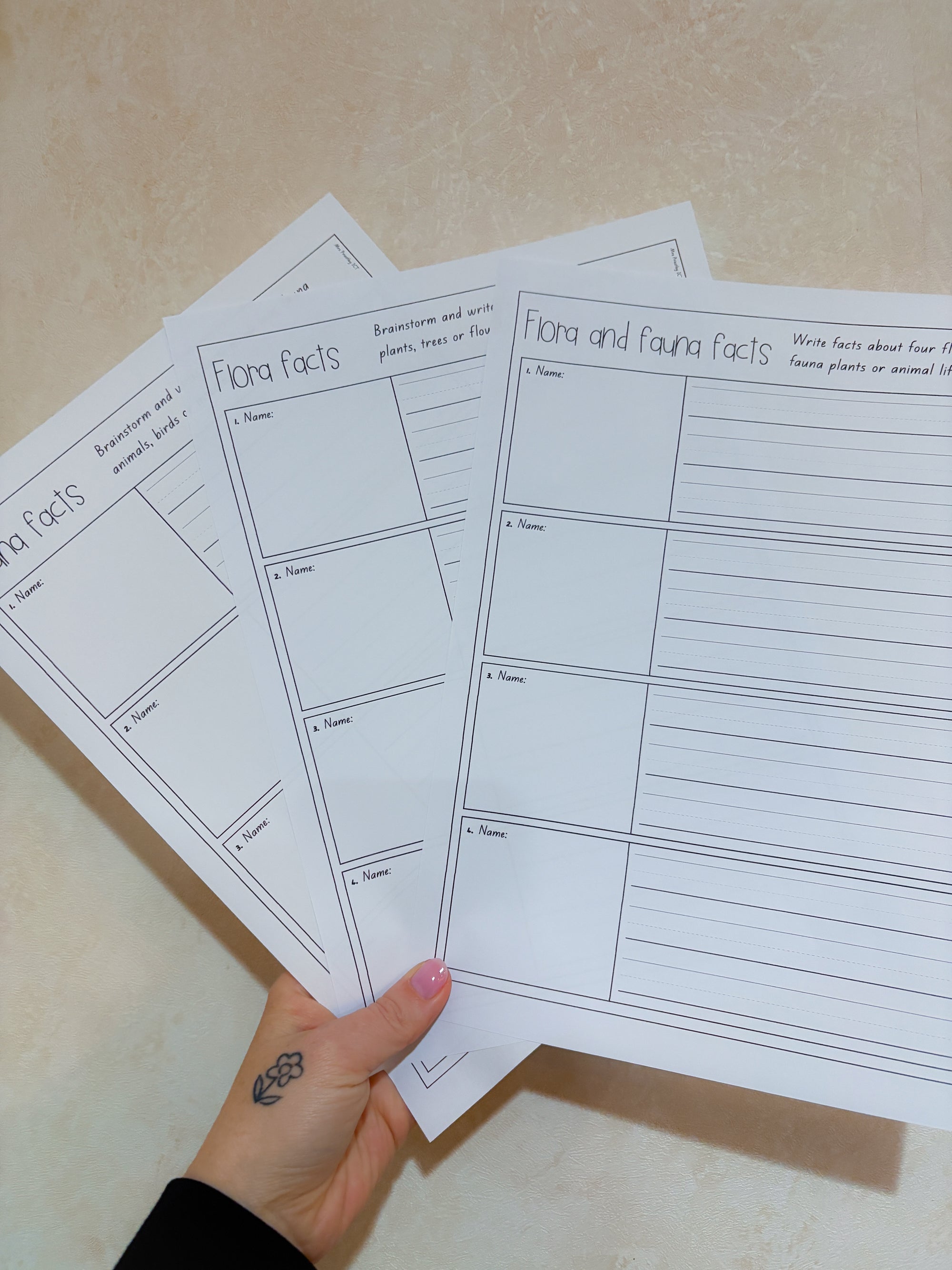 Flora or fauna brainstorm sheets