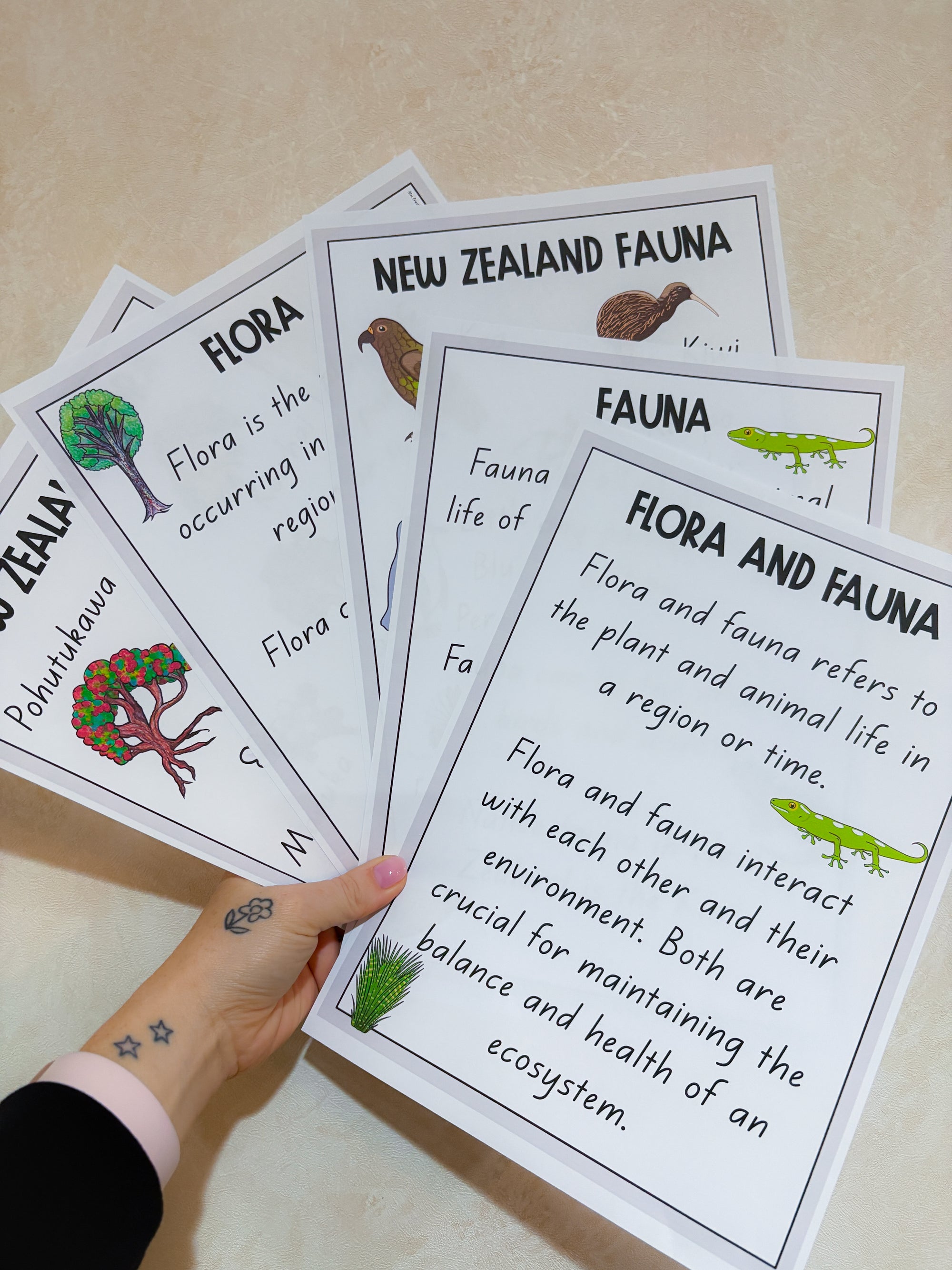 Flora or fauna anchor charts