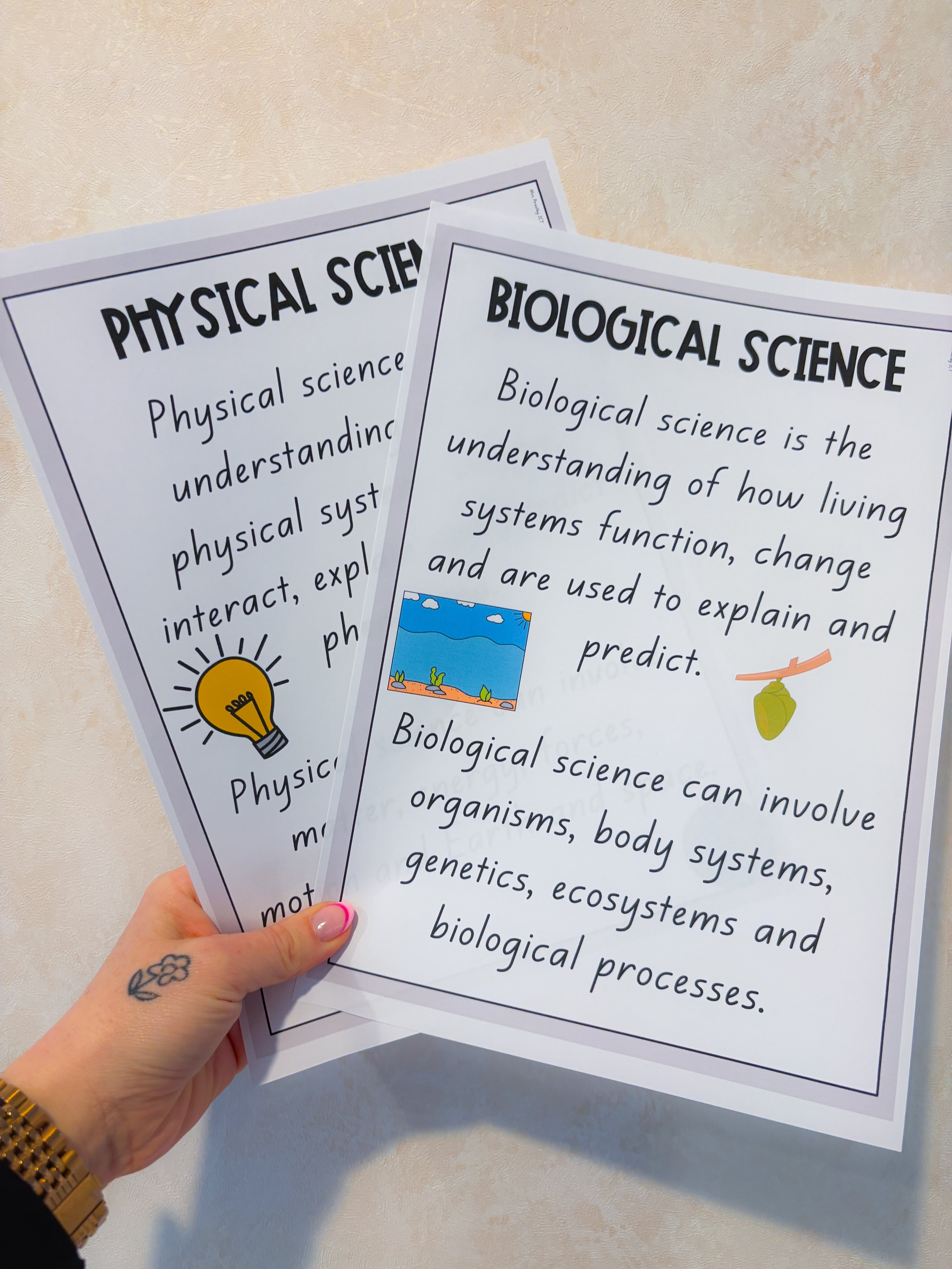 Science Anchor Charts