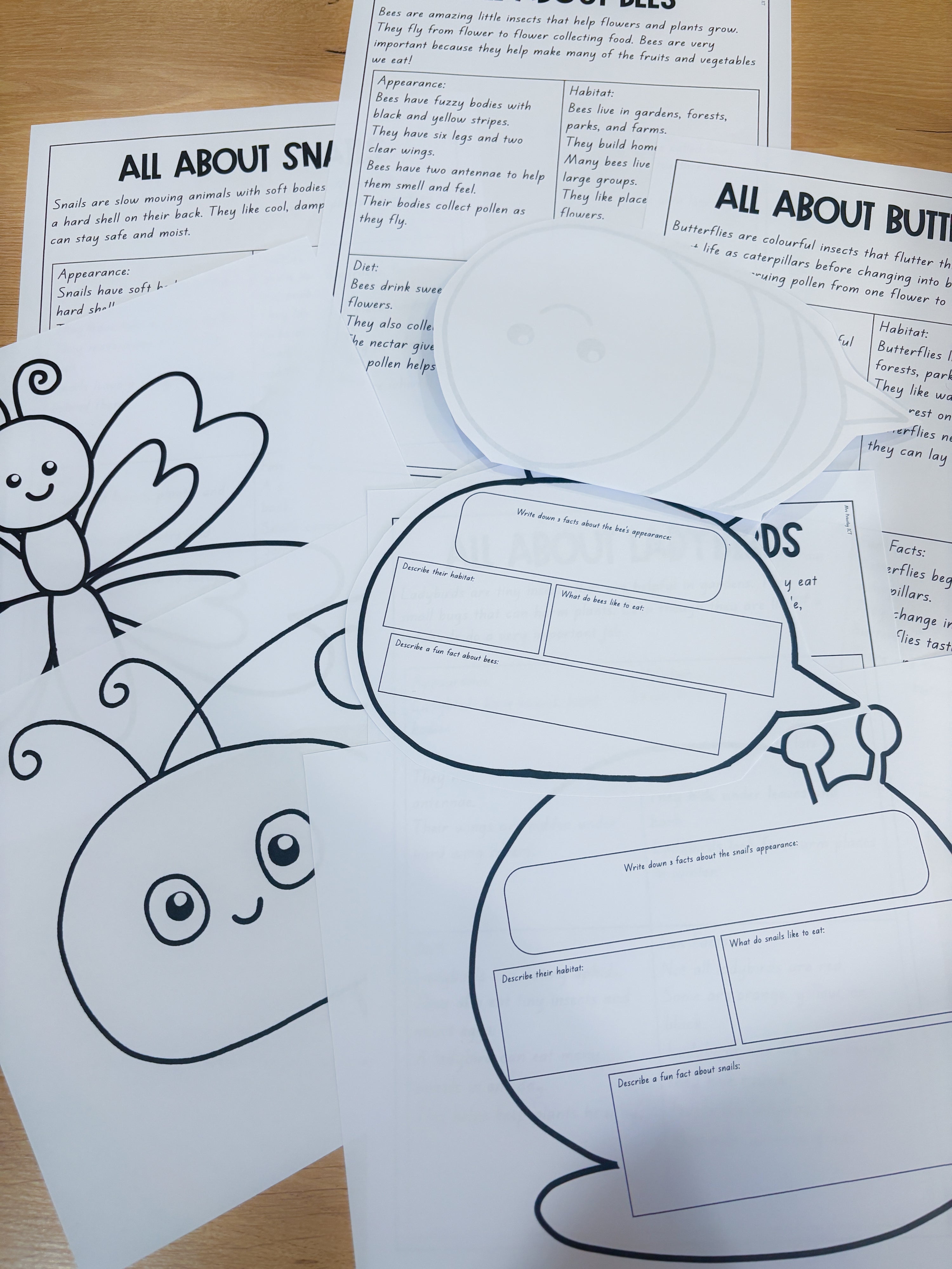 Insect fact file and crafts