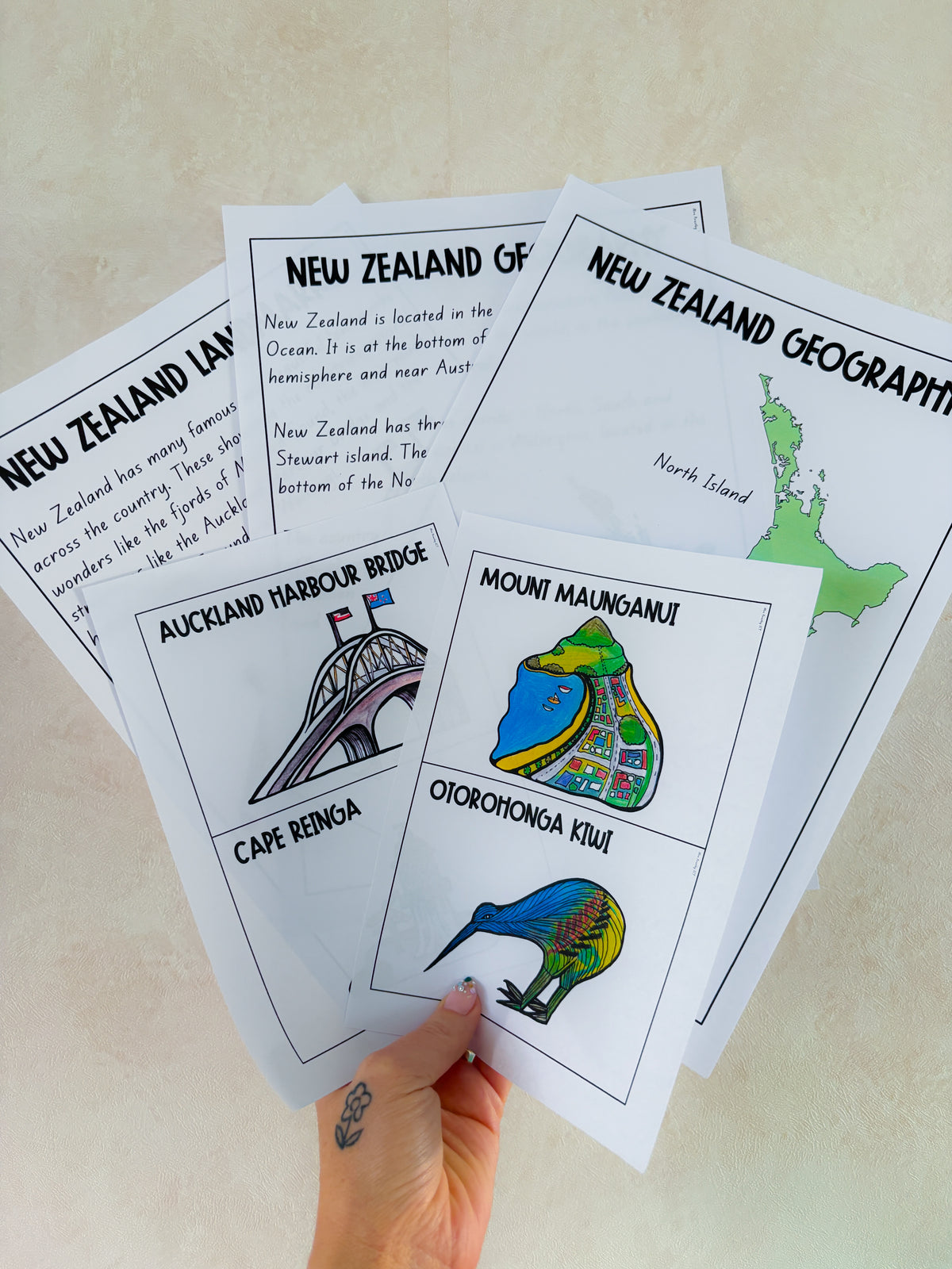 NZ Geography and Landmarks