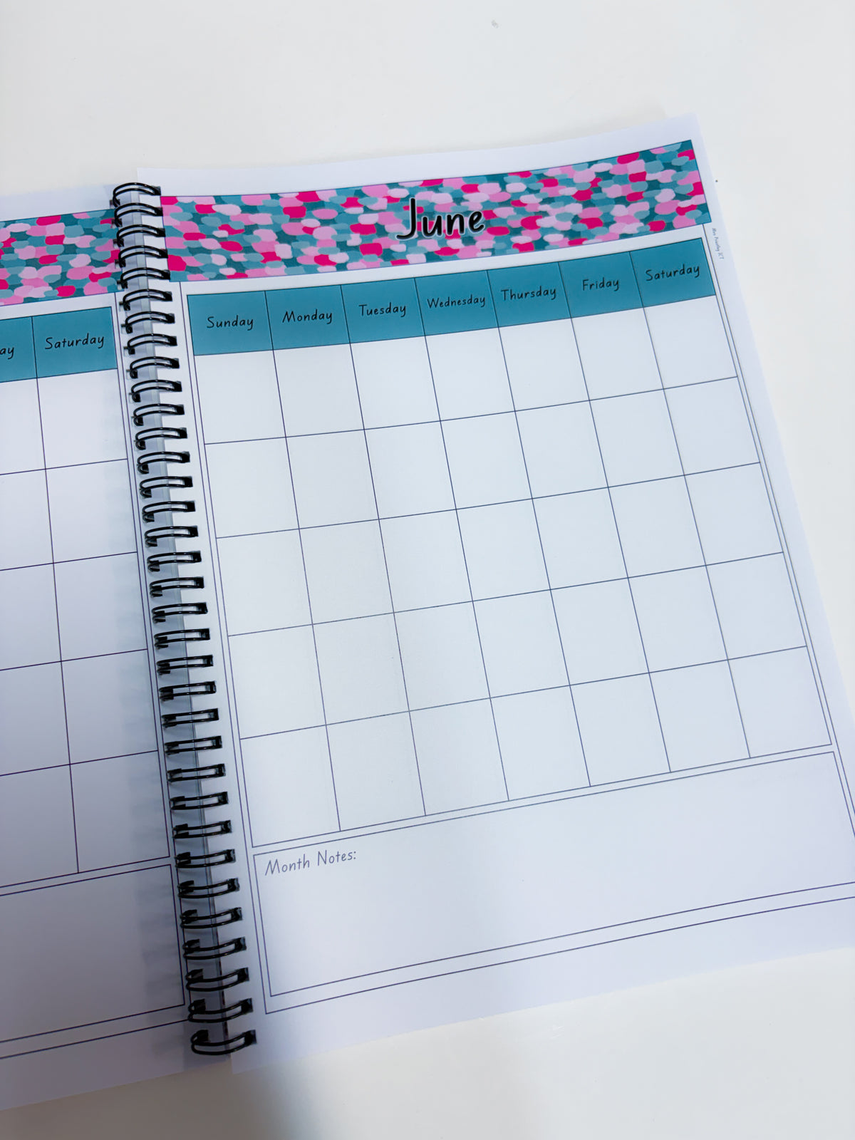 Berry Teal Teaching Organiser
