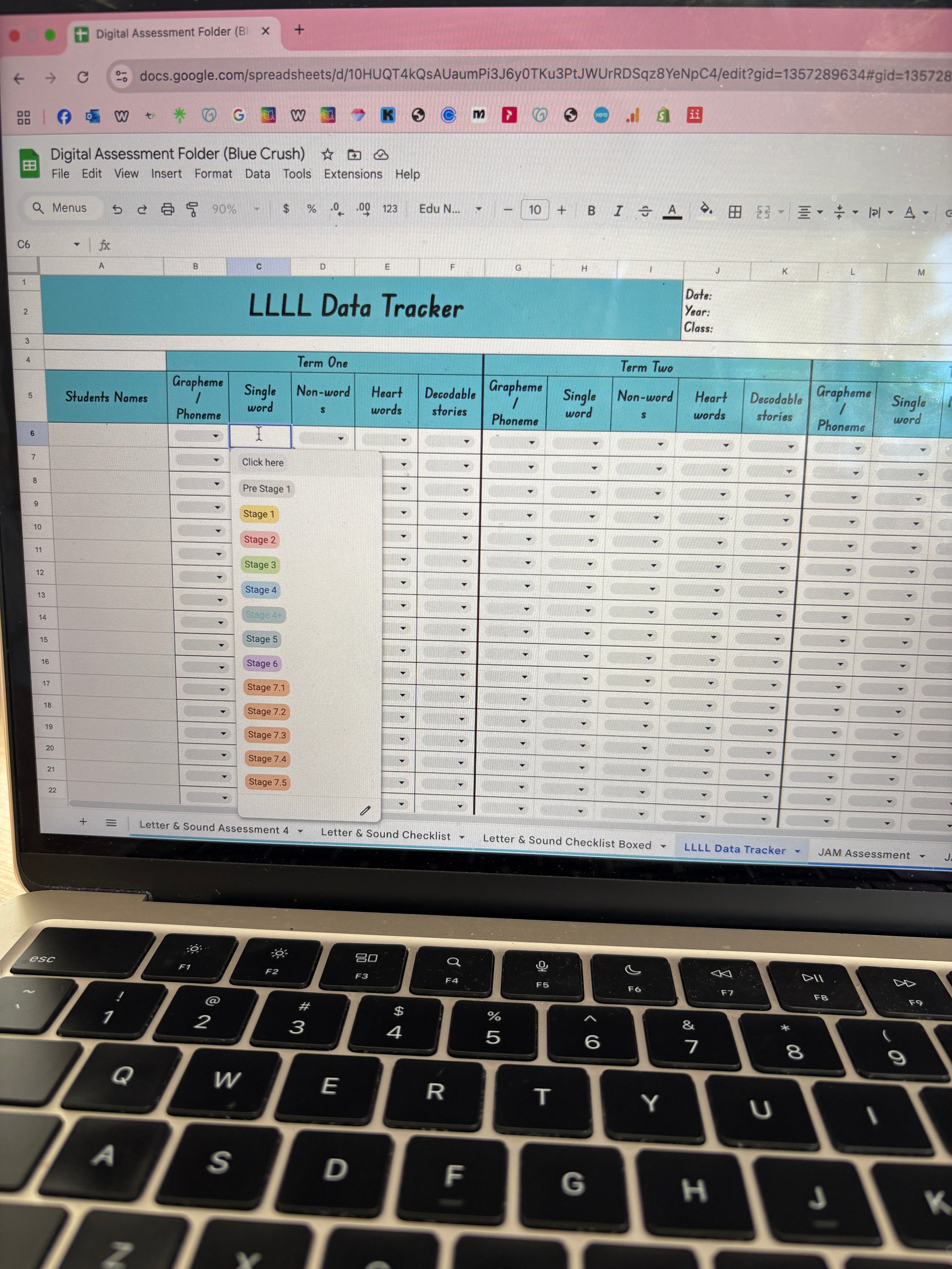 Digital Assessment Folder (Blue Crush theme)