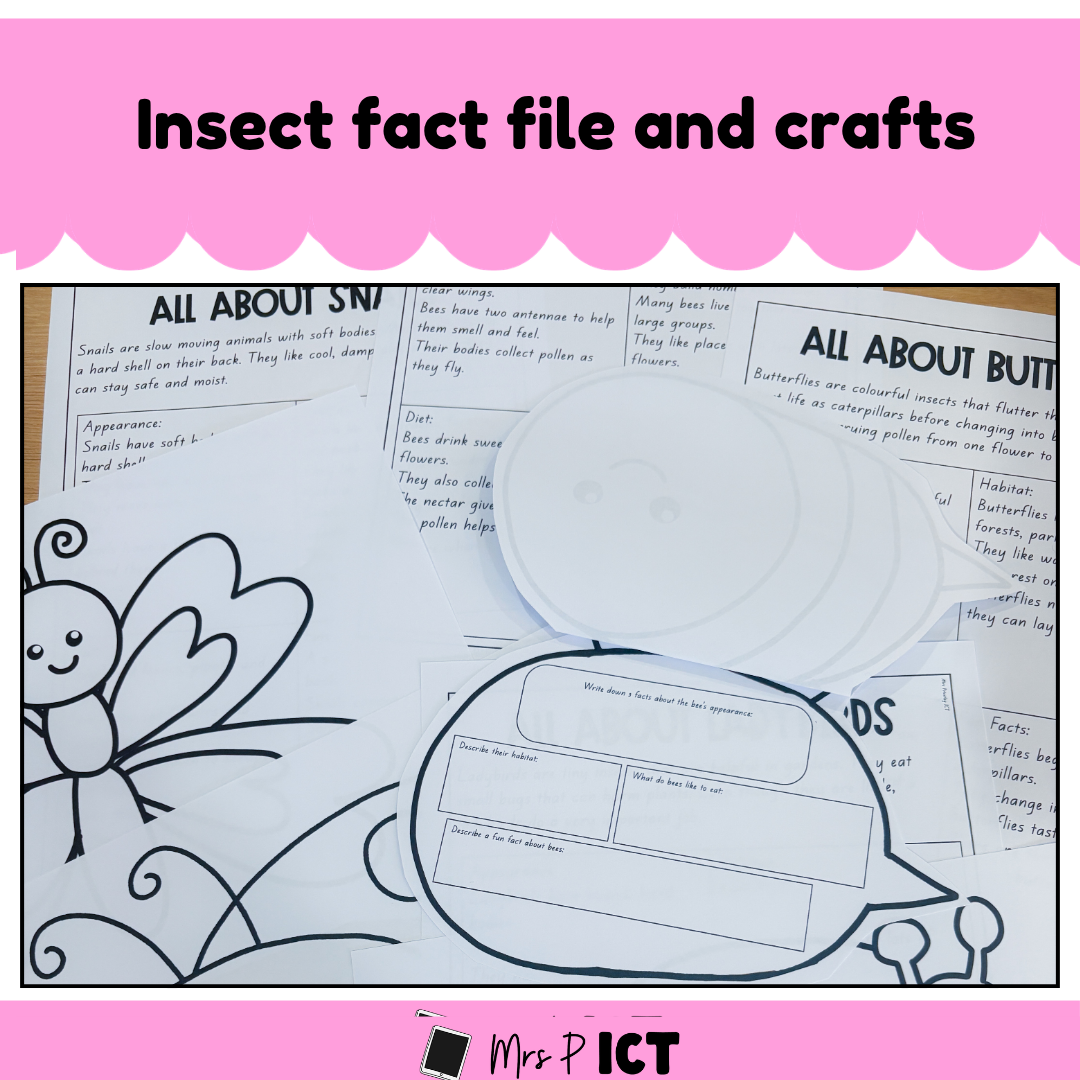Insect fact file and crafts