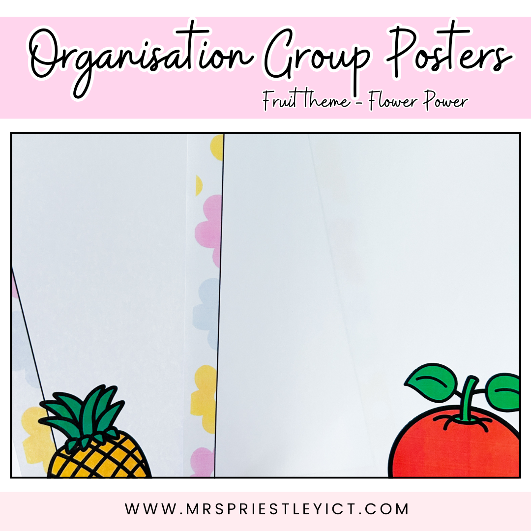 Organisation Group Posters (Fruit theme - Flower Power)