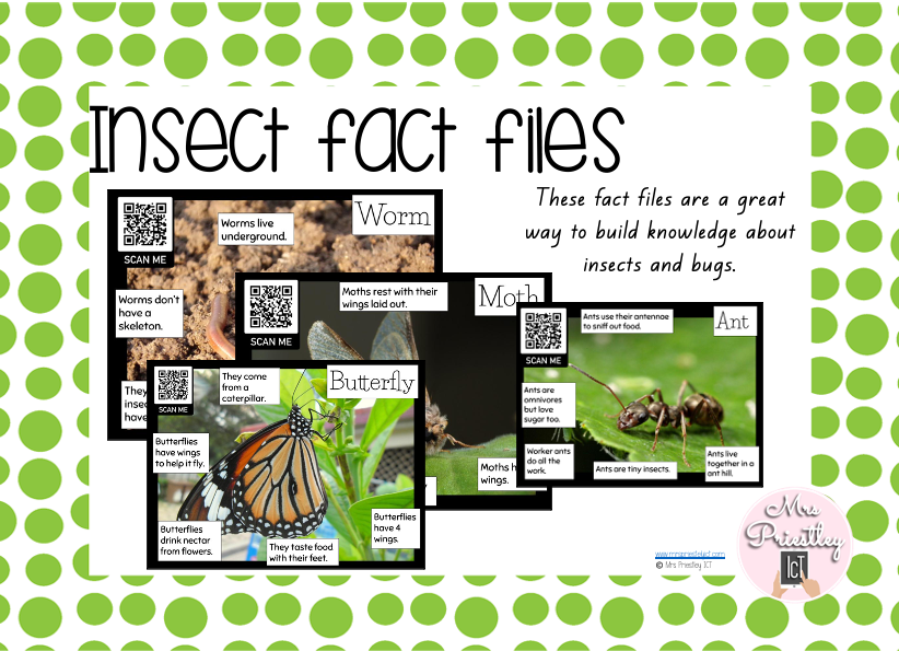 Insect QR code fact files